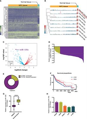 Mesenchymal Stem Cells Inhibits Migration and Vasculogenic Mimicry in Nasopharyngeal Carcinoma Via Exosomal MiR-125a